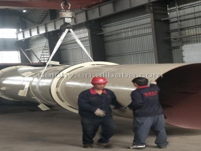 the necessary equipment mineral processing flotation cell